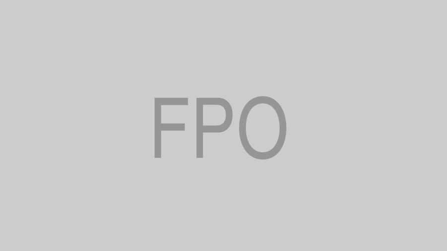 <p>What a<br>Title Could<br>Look Like</p> <p>What a<br>Title Could<br>Look Like</p>