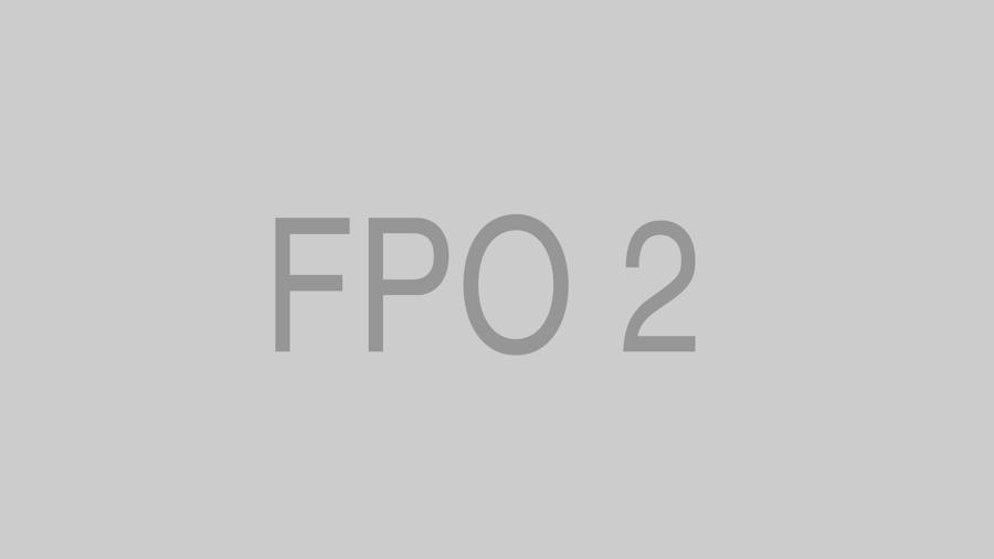 <p>What a<br>Title Could<br>Look Like</p> <p>What a<br>Title Could<br>Look Like</p>